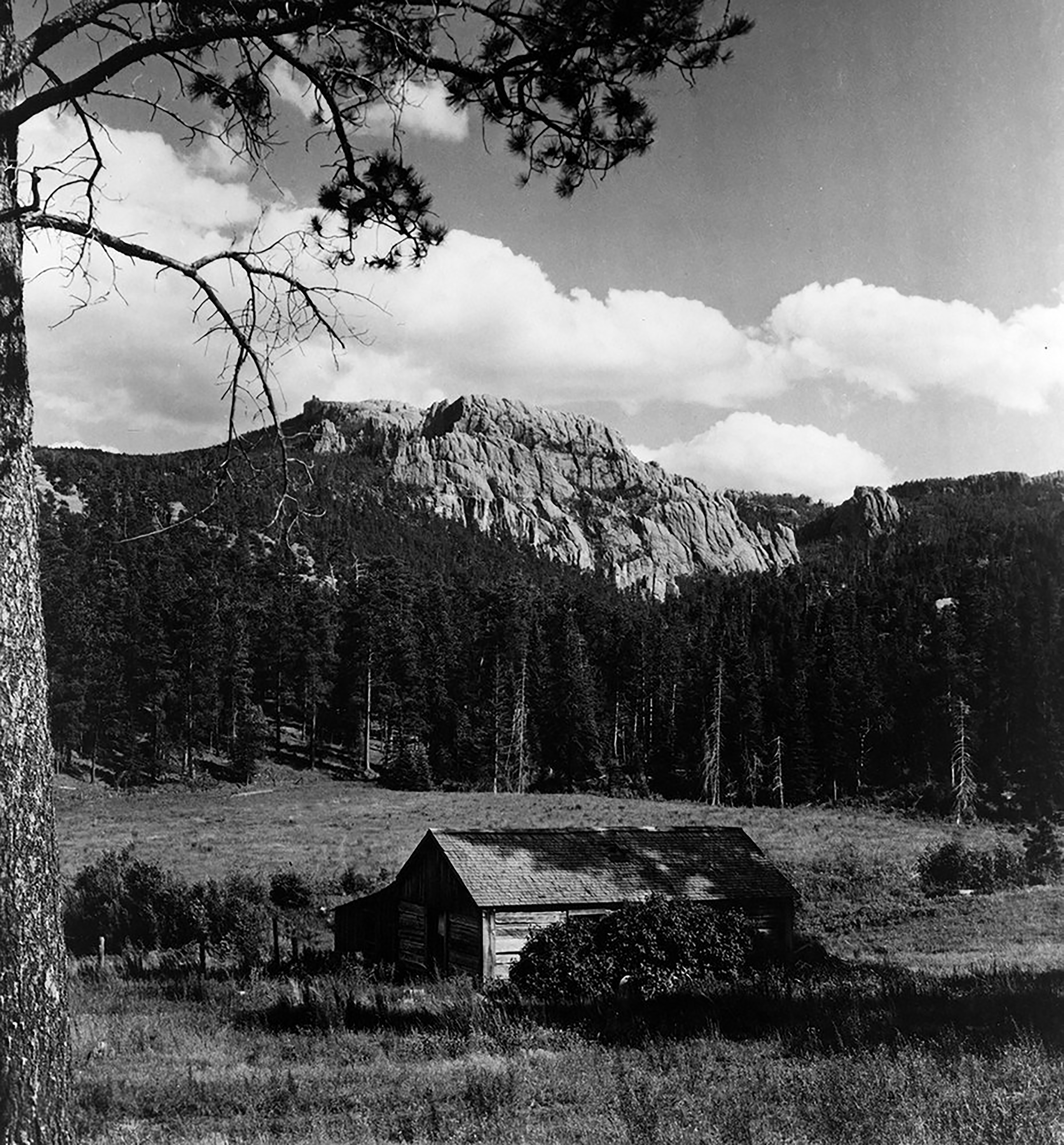 a black and white image of mountains, forrest and a small cabin in the foreground